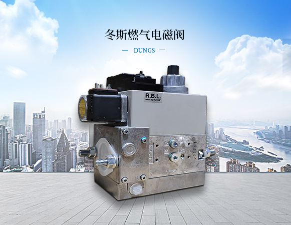 德國DUNGS冬斯燃?xì)怆姶砰y